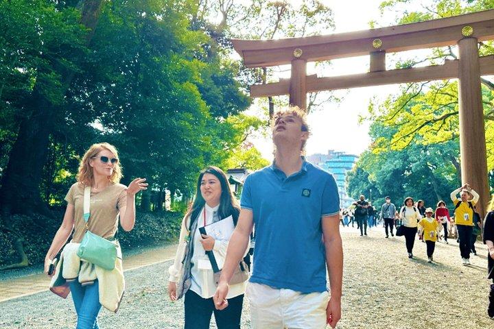 Private Meiji Shrine Walking Tour in Tokyo