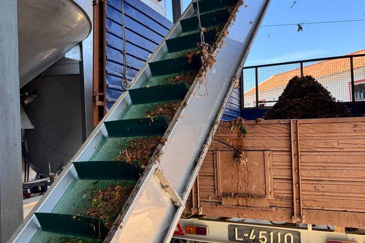 Esperienza di Vendemmia con Pranzo a Lisbona
