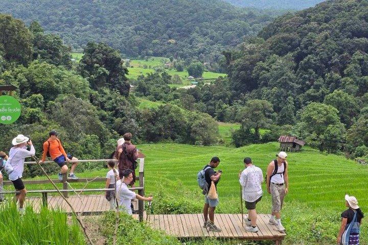 チェンマイ：ファンタスティック・ドイ・インタノン国立公園ツアー＆2 - フルトレック