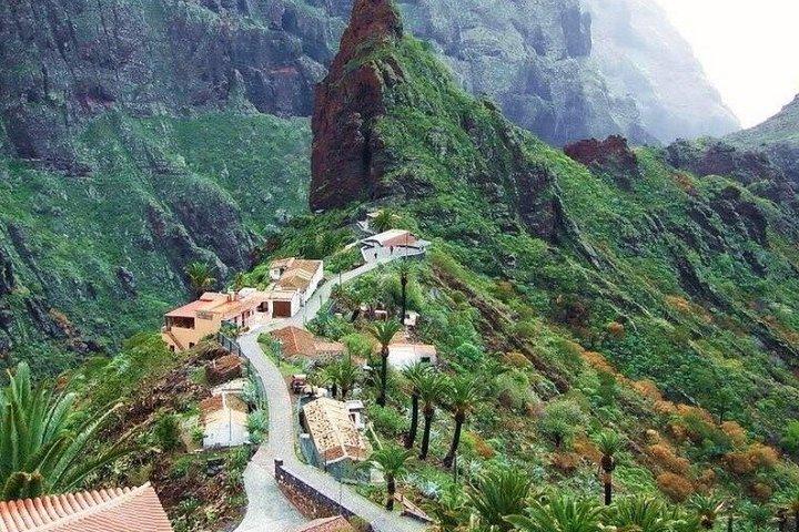 クルーズフレンドリー・テネリフェツアー：火山峰とユネスコ都市
