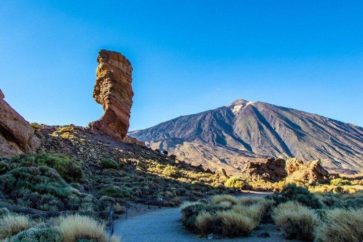 クルーズフレンドリー・テネリフェツアー：火山峰とユネスコ都市