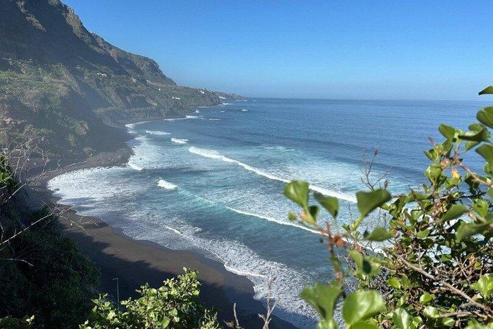 クルーズフレンドリー・テネリフェツアー：火山峰とユネスコ都市