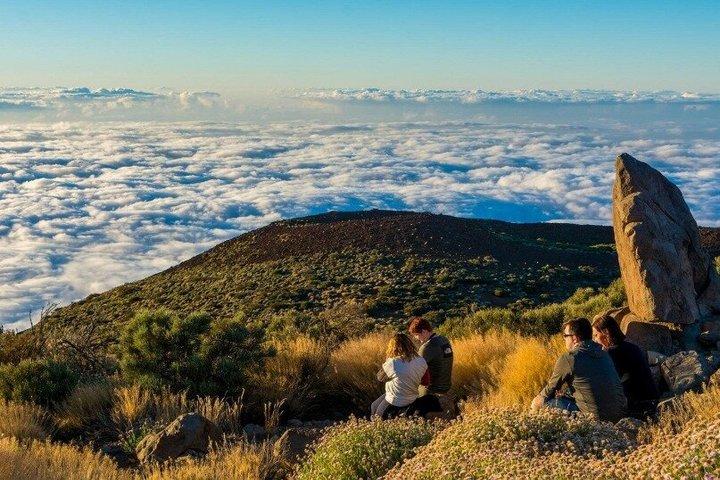 クルーズフレンドリー・テネリフェツアー：火山峰とユネスコ都市