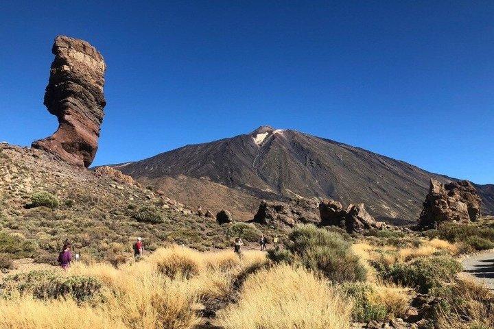 クルーズフレンドリー・テネリフェツアー：火山峰とユネスコ都市