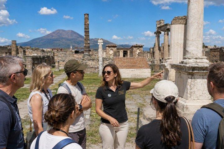 サレルノ発ポンペイとヴェスヴィオ山への小旅行、ワイナリー見学と昼食