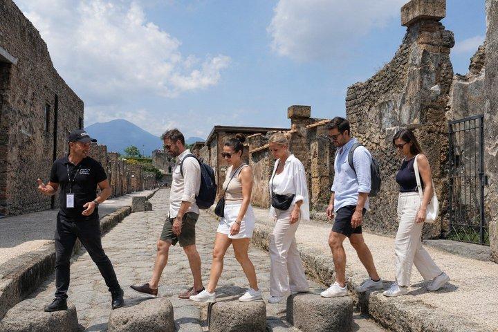 サレルノ発ポンペイとヴェスヴィオ山への小旅行、ワイナリー見学と昼食