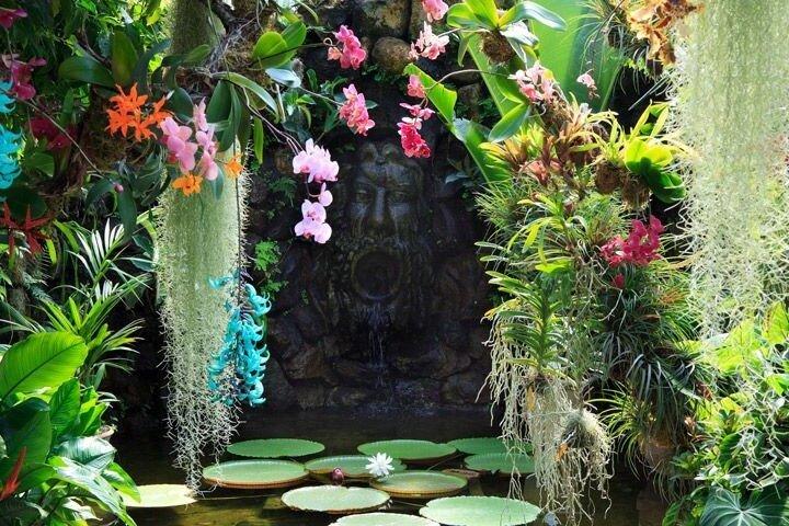 Explore Ischia and La Mortella Garden by Walking and Ferry