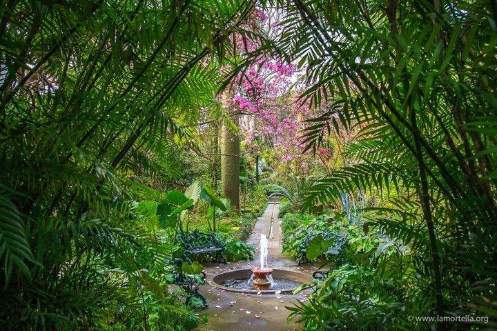 Explore Ischia and La Mortella Garden by Walking and Ferry