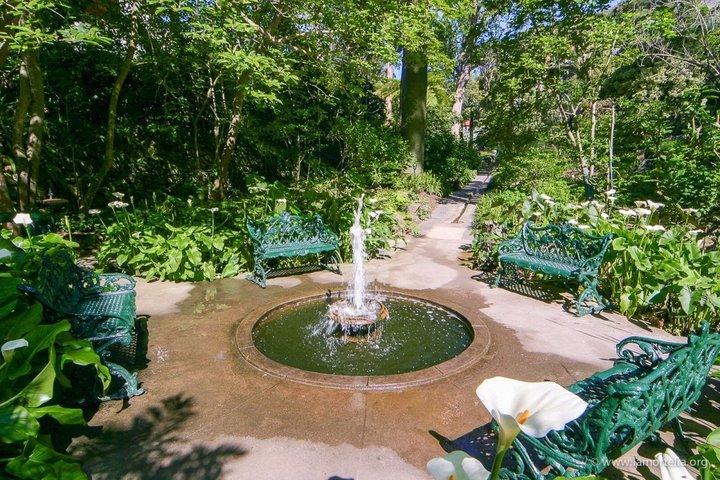 Explore Ischia and La Mortella Garden by Walking and Ferry