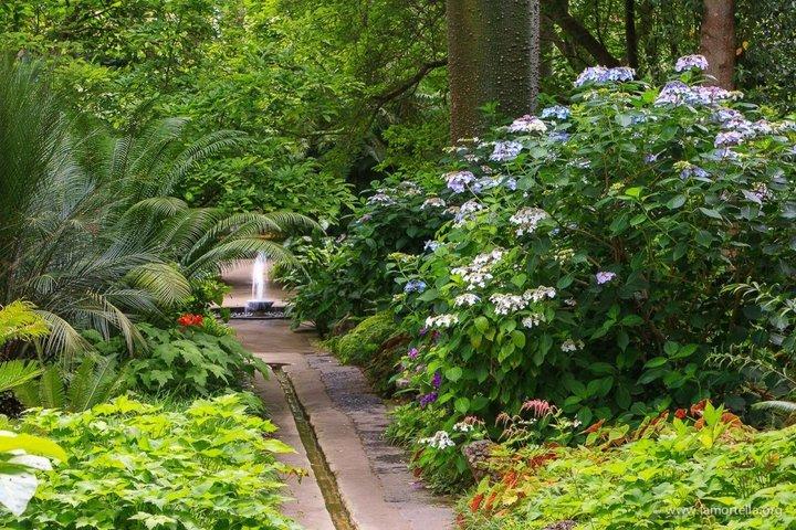 Explore Ischia and La Mortella Garden by Walking and Ferry