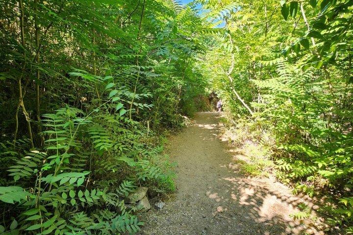 レバノン・ベイルート発ヤハシュー滝ハイキングツアー