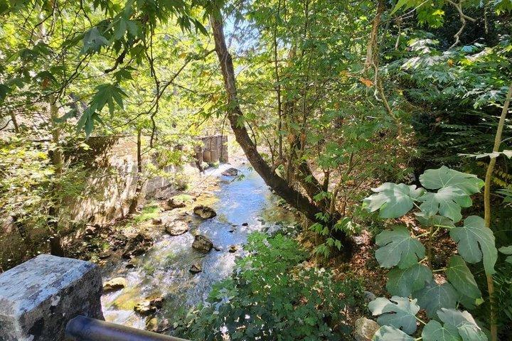 レバノン・ベイルート発ヤハシュー滝ハイキングツアー