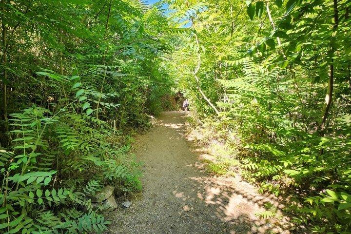 レバノン・ベイルート発ヤハシュー滝ハイキングツアー