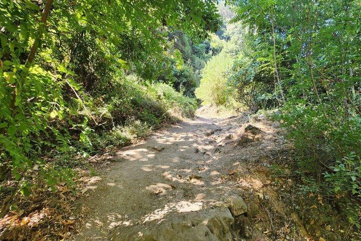 レバノン・ベイルート発ヤハシュー滝ハイキングツアー