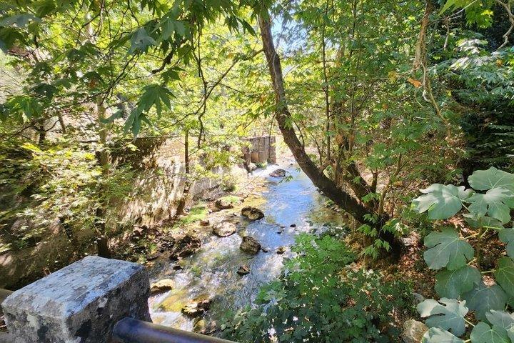 レバノン・ベイルート発ヤハシュー滝ハイキングツアー