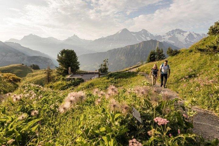 Historic Schynige Platte Cogwheel Train Ticket from Interlaken