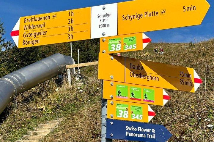 Historic Schynige Platte Cogwheel Train Ticket from Interlaken