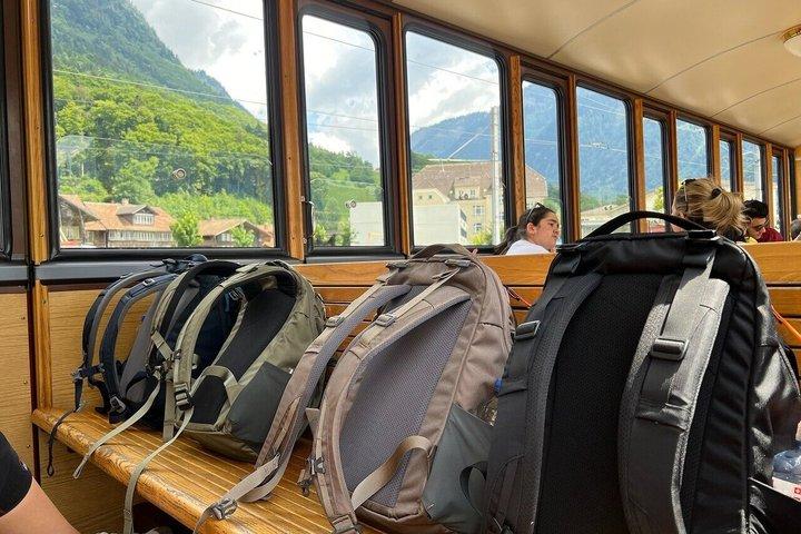 Historic Schynige Platte Cogwheel Train Ticket from Interlaken