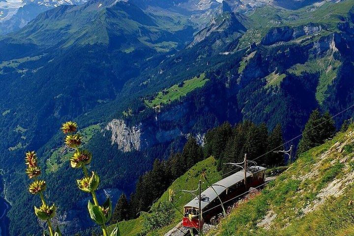Historic Schynige Platte Cogwheel Train Ticket from Interlaken