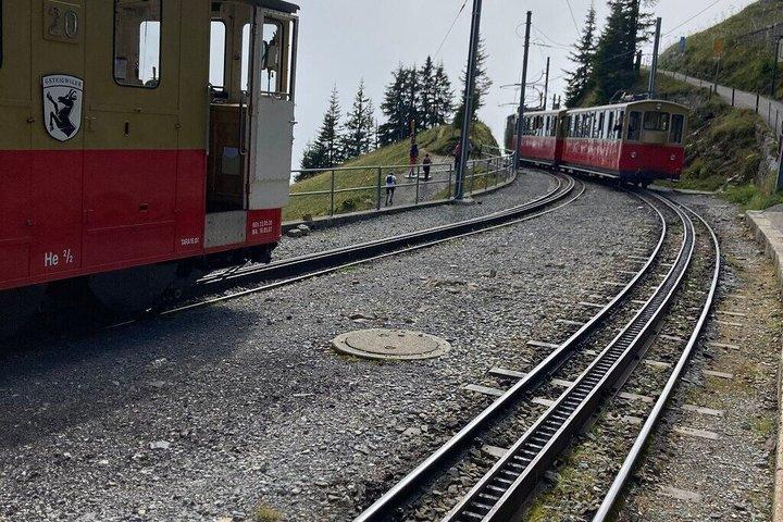 Historic Schynige Platte Cogwheel Train Ticket from Interlaken