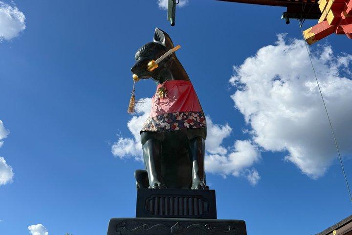 Kyoto Private Car Tours - optionale Nara oder Osaka Add-Ons