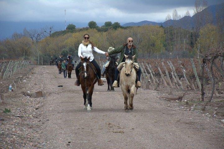 Horseback vineyards Riding, Culinary Experience at Bodega Bandini