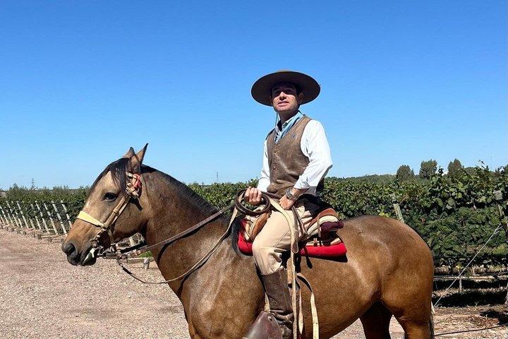 Horseback vineyards Riding, Culinary Experience at Bodega Bandini