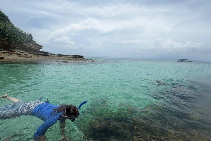 Private Turqoise hidden Beach + Snorkeling looking for turtles