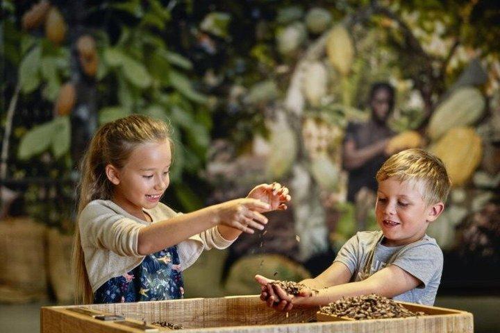 Maison Cailler Chocolate Museum Family Admission Ticket Broc