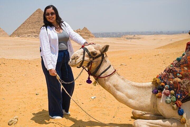 Giza Pyramids,sphinx,Grand museum,Camel,inside Pyramid&lunch