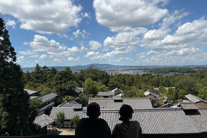 奈良 3時間ガイド付きツアー：鹿公園と東大寺のハイライト