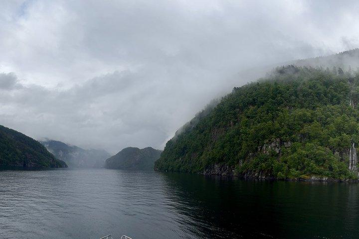 雨の日のアクティビティ-フィヨルドでのプライベートヨットクルーズ
