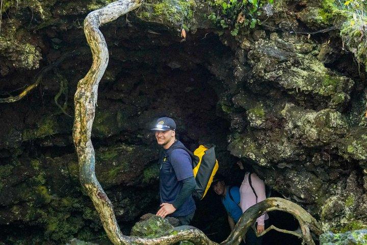 オークランド：ランギトト火山ハイキング、サミット＆溶岩洞窟