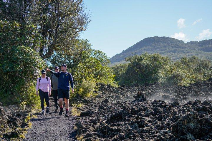 オークランド：ランギトト火山ハイキング、サミット＆溶岩洞窟