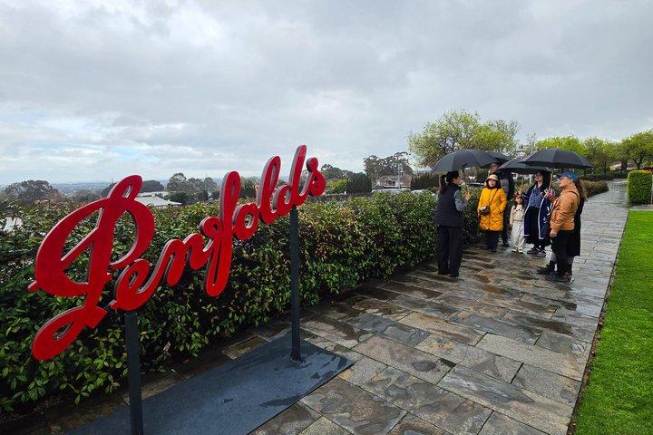 ペンフォールドとハーンドルフのシェアツアーワイン試飲とランチ