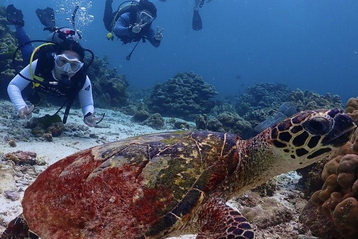 プーケット島：ラチャ諸島2島、シュノーケリング3回（ヨットから終日）