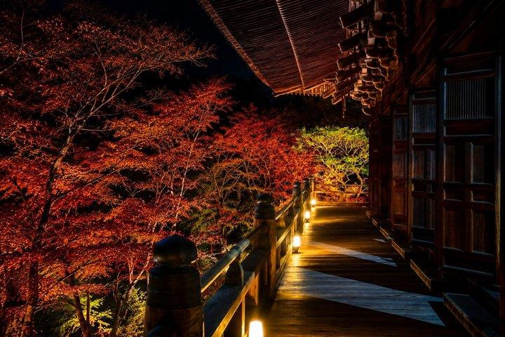 神戸姫路城 嵩山と瀬戸内海ツアー