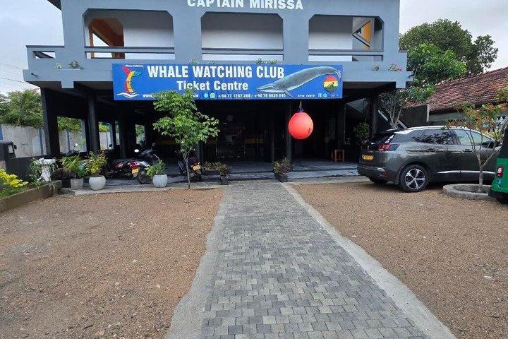 WWCでホエールウォッチングミリッサ