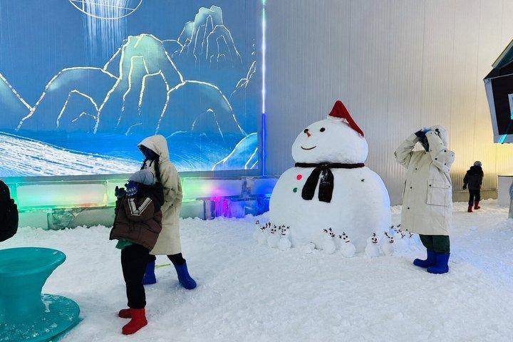パタヤ ウィンターワンダーランド スノーパーク 入場チケット