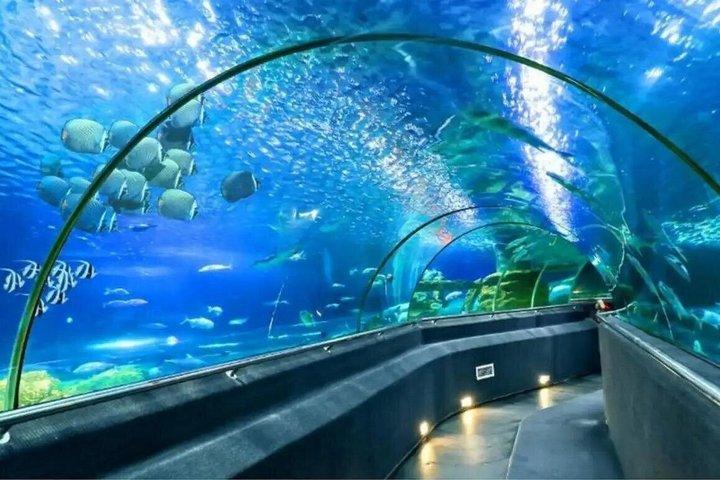 ニャチャン : 街の見どころ、人気の観光スポット＆隠れた宝石
