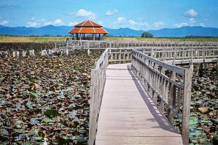 サムロイヨットの景勝地ツアー キッシングケイブとビーチ