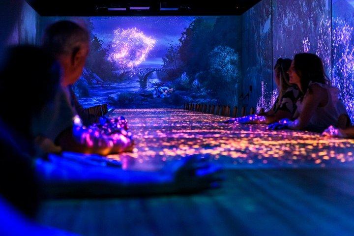 エトノランドのマルチメディア体験 スキップ・ザ・ライン