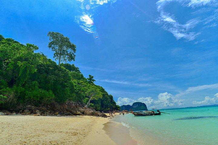 Phuket Phi Phi Maya Bay and Bamboo Tour by Catamaran