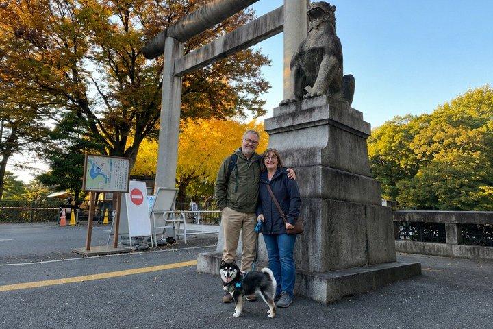 柴犬と歩く東京の紅葉