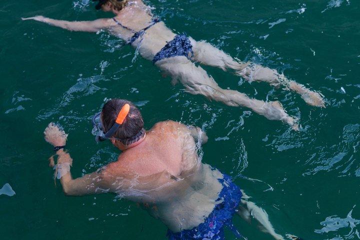 Phi Phi & Bamboo Island Hopping from Phuket by Premium Catamaran