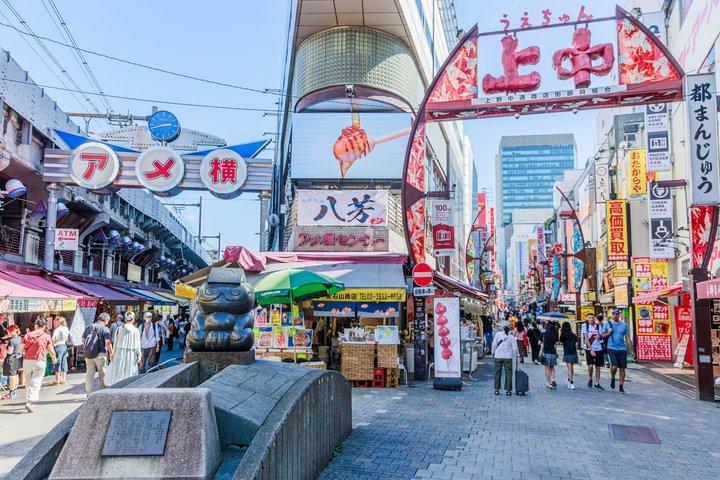 Visite Privée de Tokyo : Temples, Culture & Modernité.
