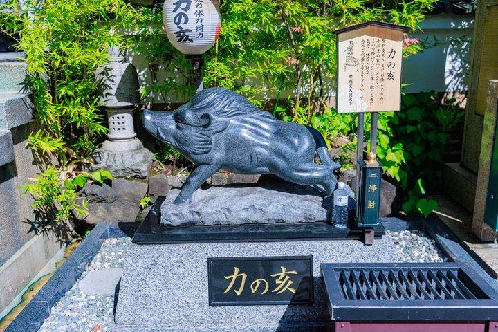 Visite Privée de Tokyo : Temples, Culture & Modernité.