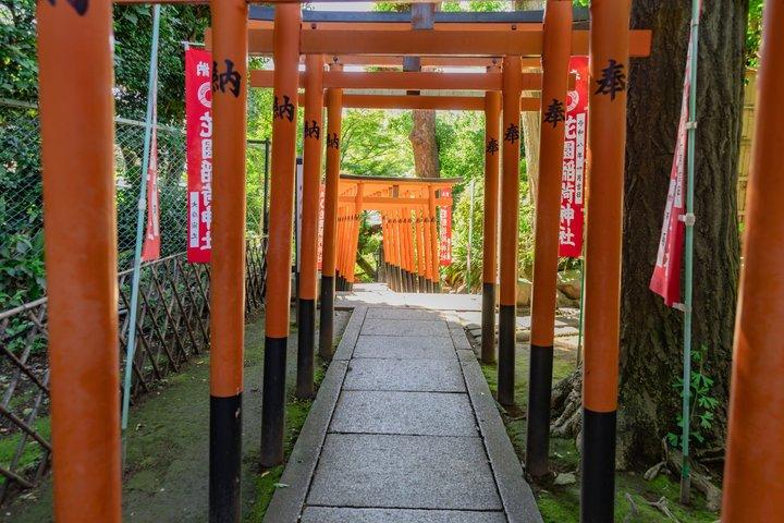 Visite Privée de Tokyo : Temples, Culture & Modernité.