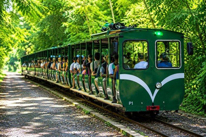 イグアスの滝（アルゼンチン側）
