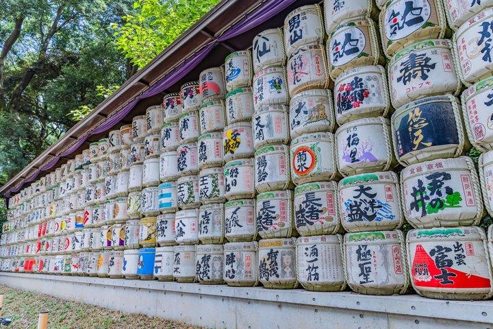 Visite Privée de Tokyo : Temples, Culture & Modernité.